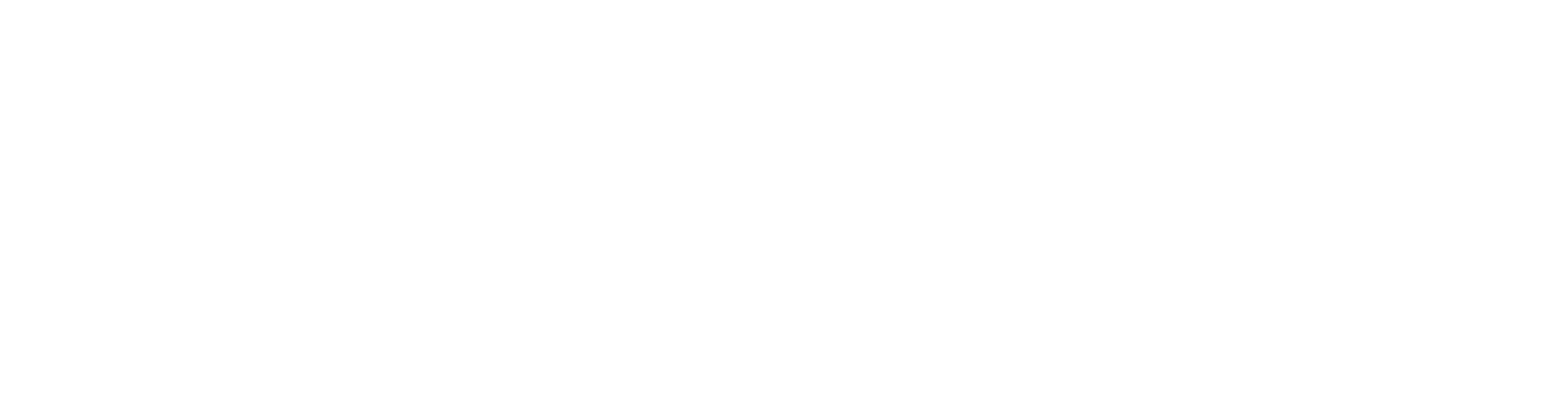 heidelsheim logo